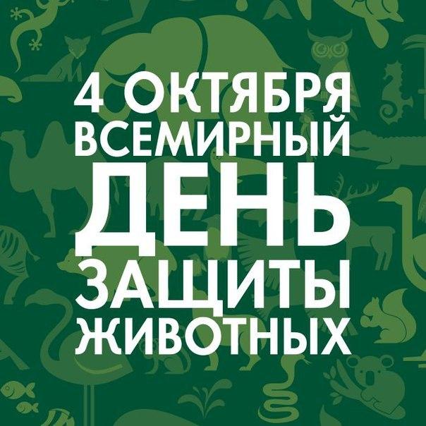 Новости Гимназии 13.